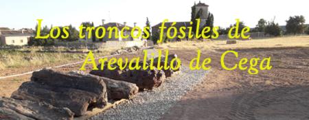 Imagen Los Troncos Fósiles de Arevalillo de Cega